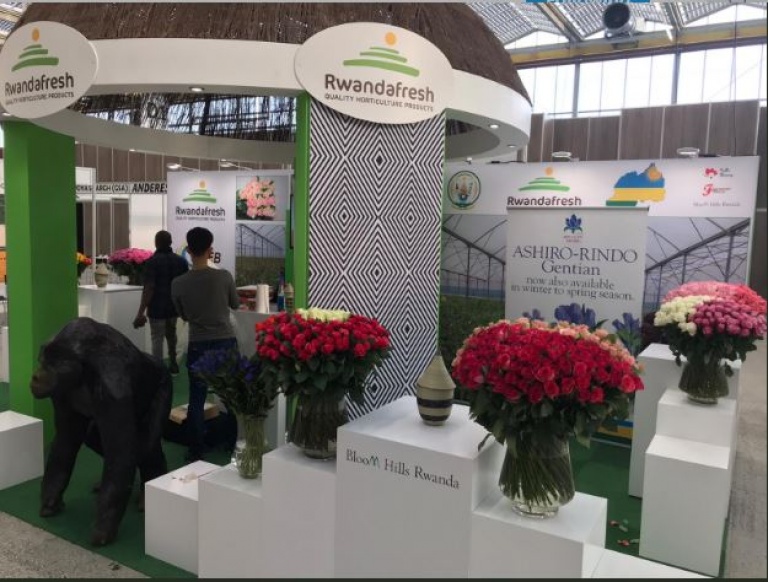 The Best of Rwandan Flowers at the Netherlands Trade Fair